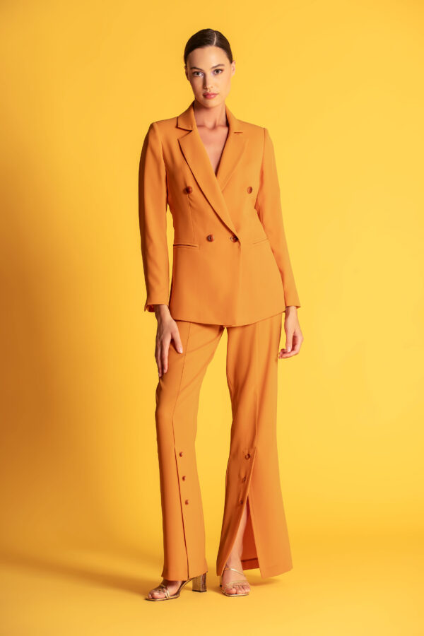 BLAZER ASSERTOADO